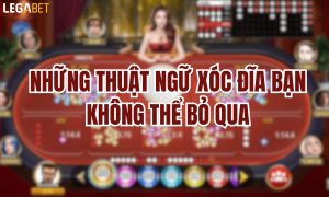 thuật ngữ xóc đĩa